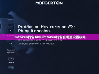 imToken钱包APP|imtoken钱包在哪里设置权限